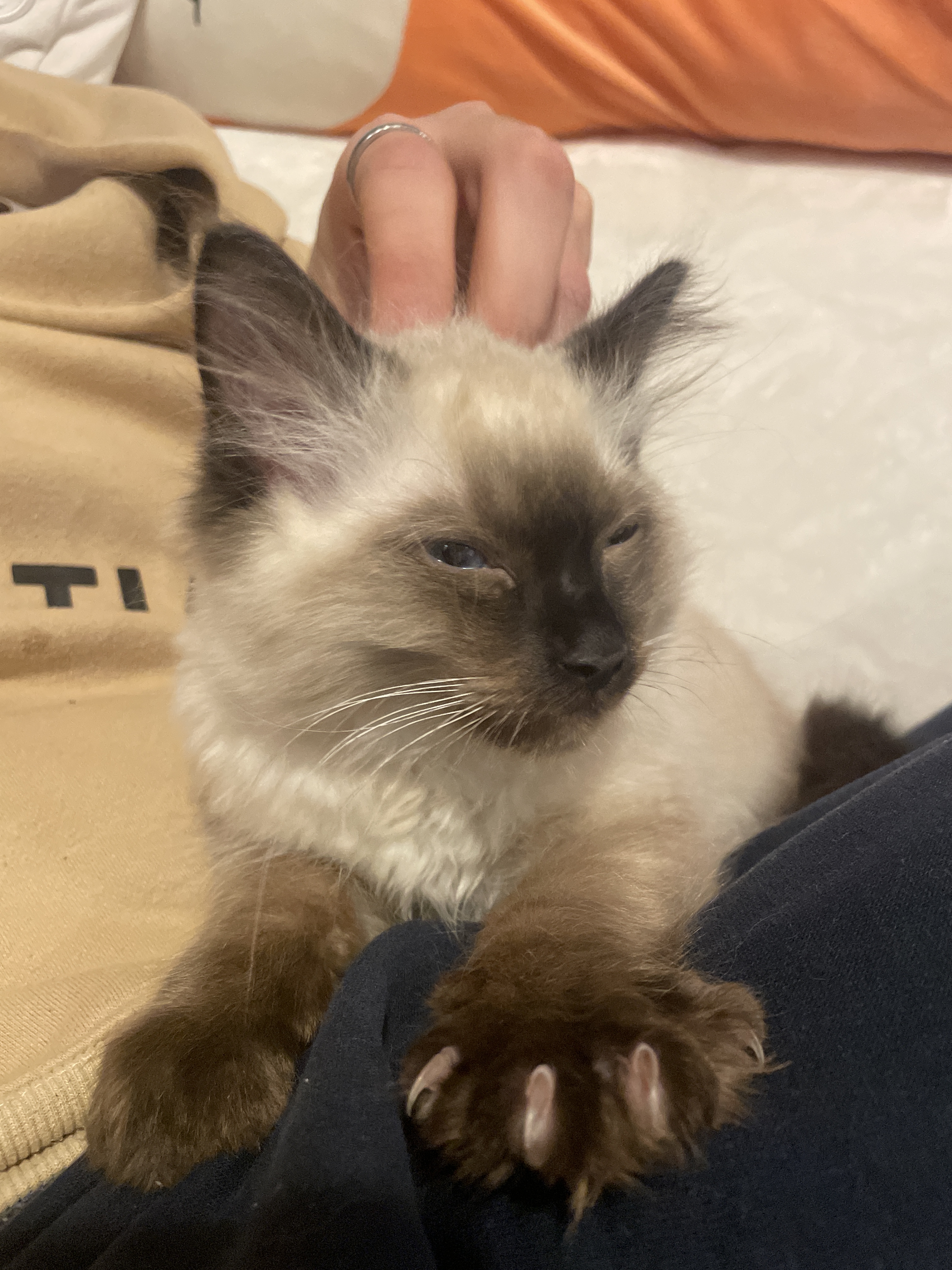 Pumba's first day home